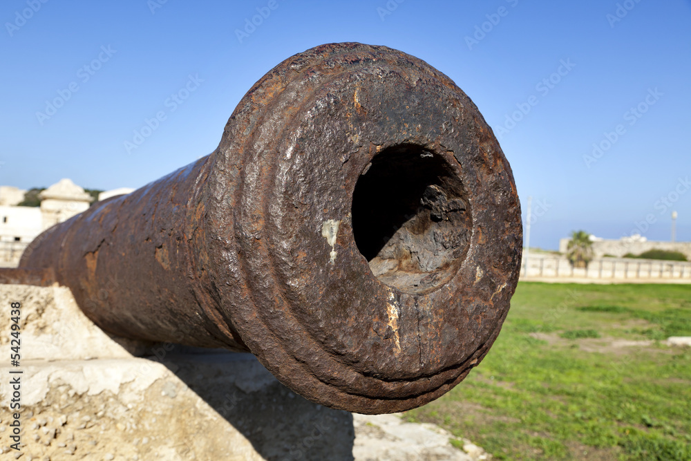 Napoleon's Cannon