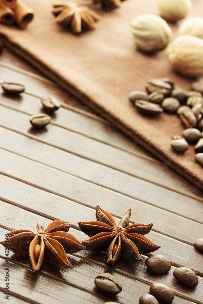 Obraz na plátně Star anise, coffee beans, nutmeg and cinnamon sticks