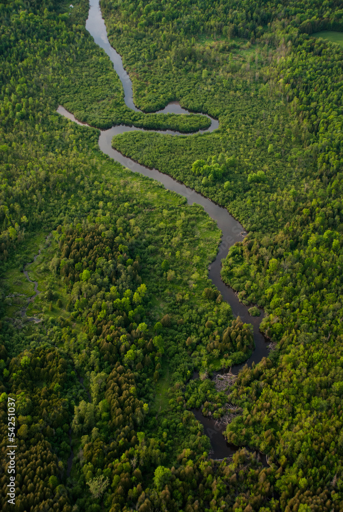 Aerial view of a winding river surrounded by green forest Aerial view of a winding river surrounded by green forest