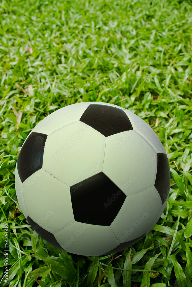 Obraz premium football