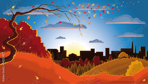 Autumn Tree