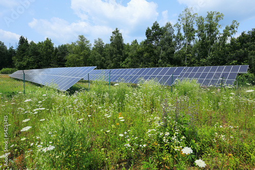 Wildflowers on Meadow in front of the Solar Power Station