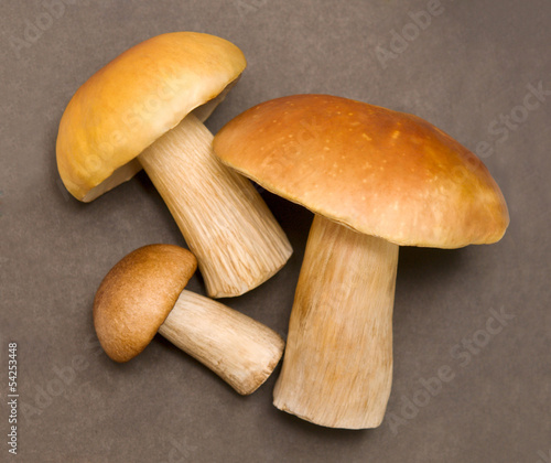 mushrooms