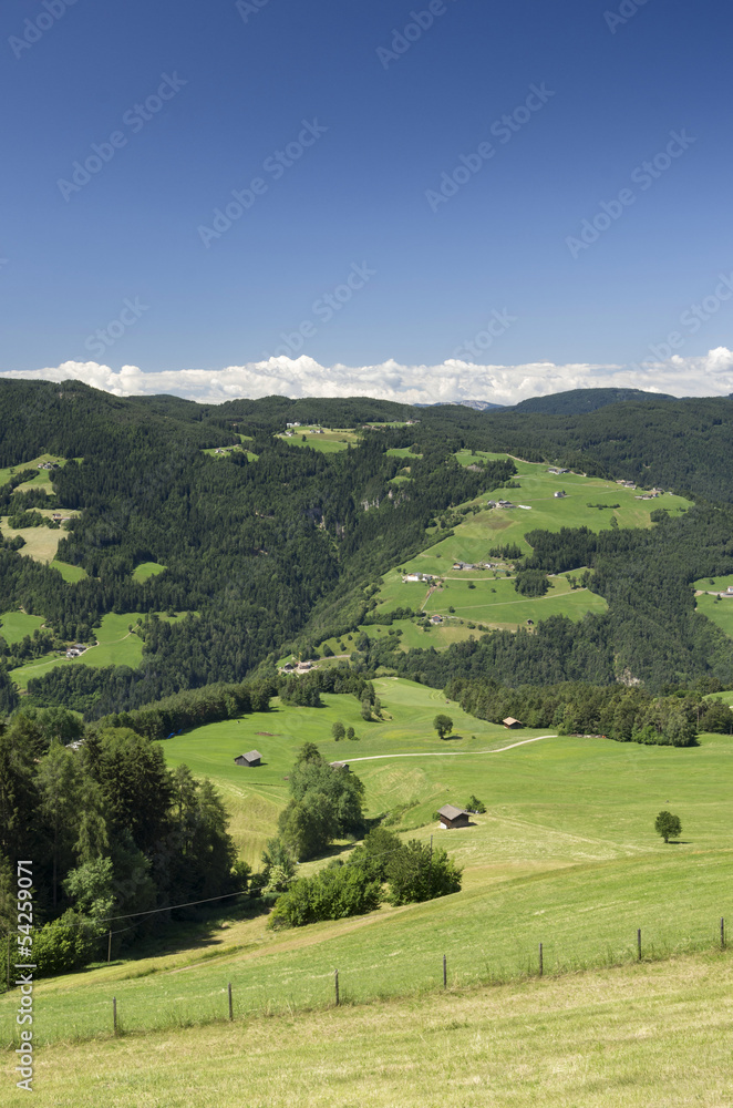 Obraz premium Rural Landscape in South Tyrol (Bolzano)