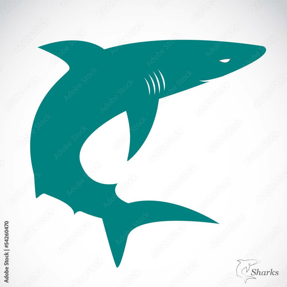 Obraz premium Vector image of an shark