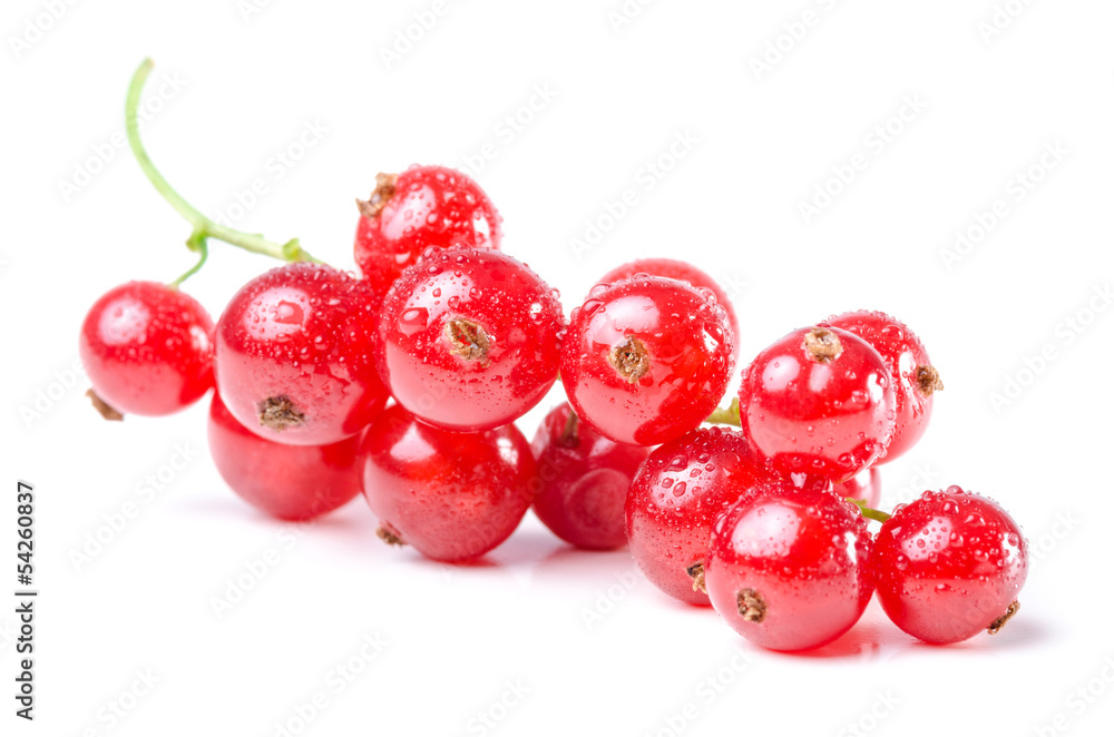 rote Johannisbeeren isoliert vor weiß rote Johannisbeeren isoliert vor weiß