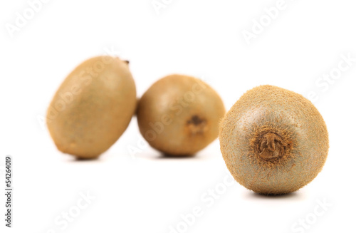 Kiwi fruit isolated on a white background