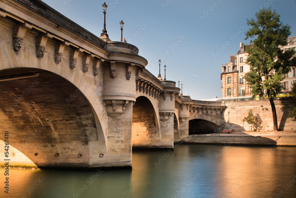 Naklejka premium Pont neuf - Paris