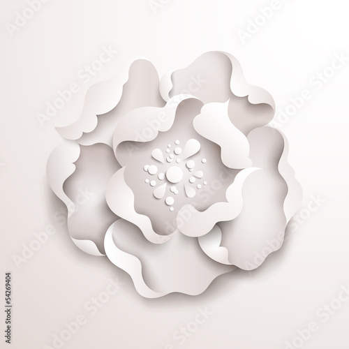 Abstract floral background. White paper flower