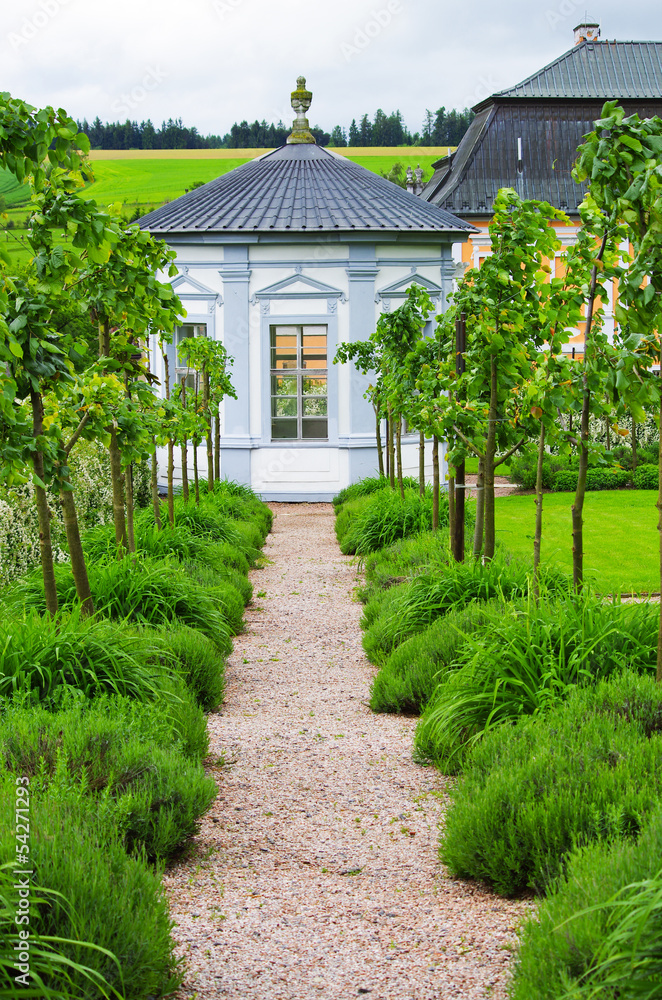 Obraz premium Arbor in the garden