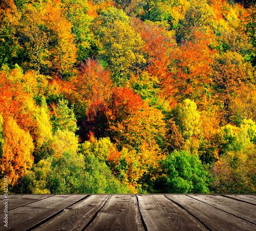 Colorful autumnal forest with wooden floor