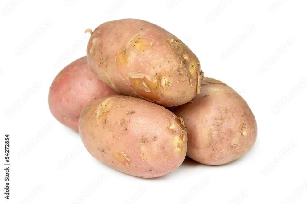Fresh potatoes isolated on white Fresh potatoes isolated on white
