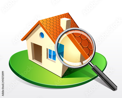 Maison - Diagnostic Loupe