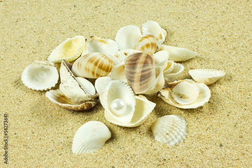 seashells,pearl, starfish on sand