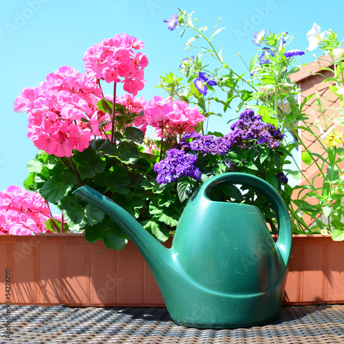 Fototapeta Naklejka Na Ścianę i Meble -  Geranie mit Gießkanne