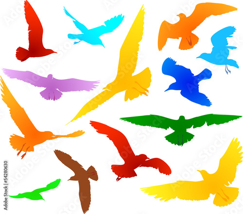 Color vector set of seagulls silhouettes