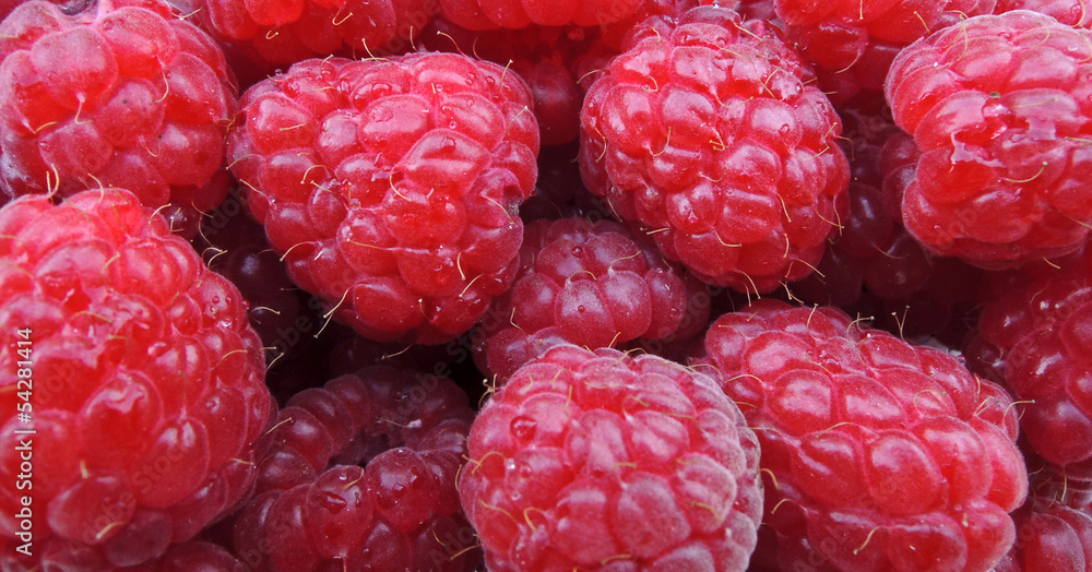 raspberries background raspberries background