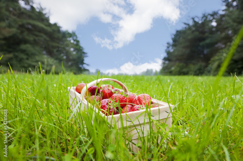 Erdbeerkörbchen