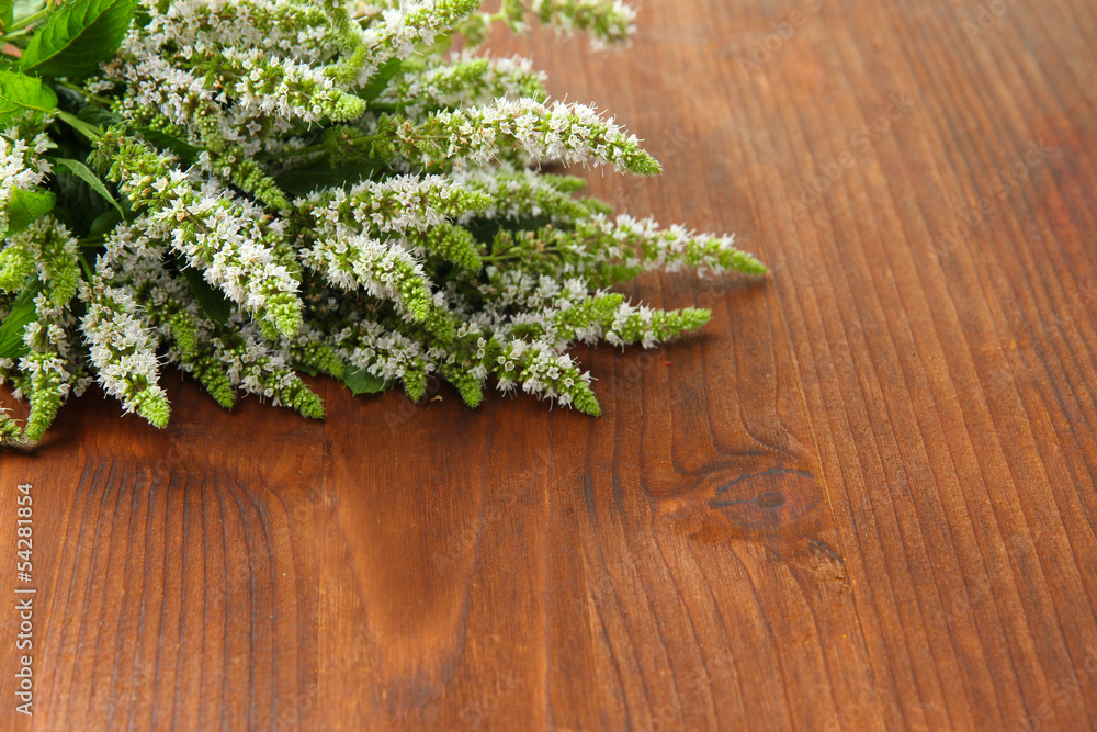 Fresh mint flowers on wooden background Fresh mint flowers on wooden background