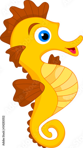 Cute Seahorse Cartoon