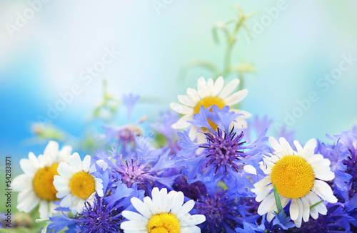 Beautiful bouquet of cornflowers and chamomiles