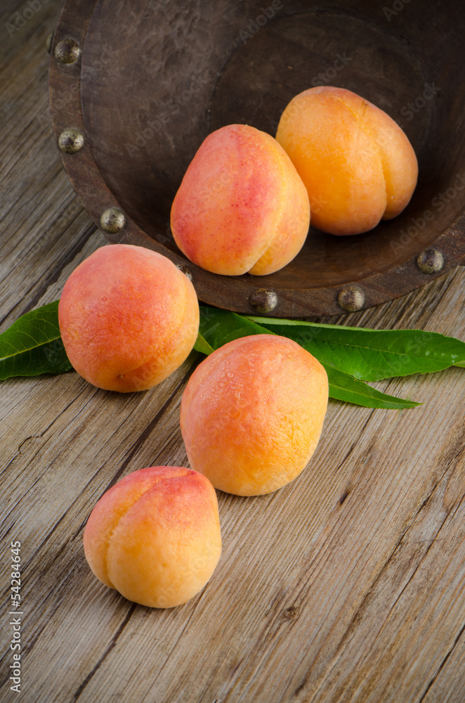 Apricots with leaves