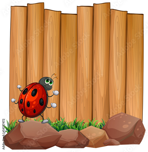 A bug on a rock near the empty signboard