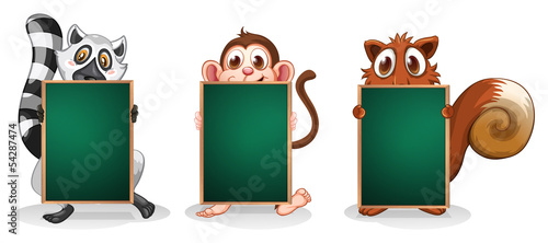 Photography Wild animals with empty green signboards