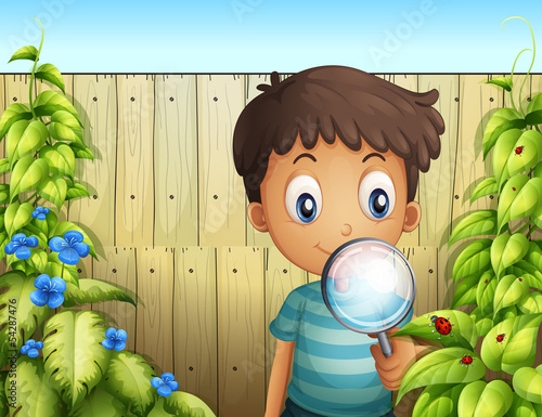 A boy holding a magnifying glass to see the bugs