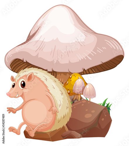 A molehog near the giant mushroom