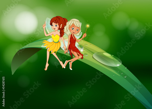 Two fairies sitting on an elongated leaf