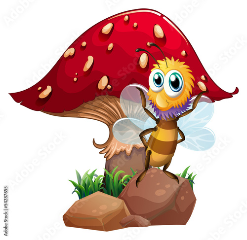 A bee standing at the rock with a mushroom at the back