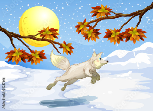 A fox jumping
