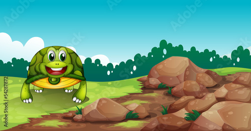 A turtle crawling near the rocks