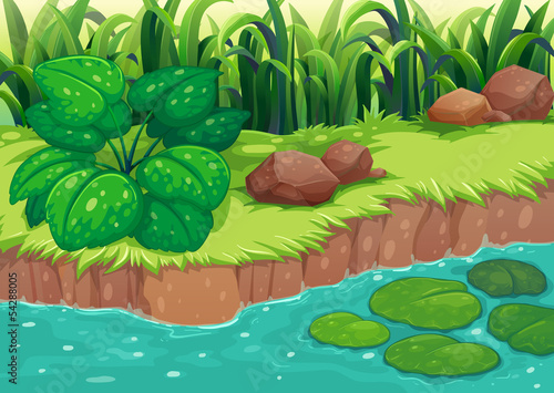 Green plants along the river