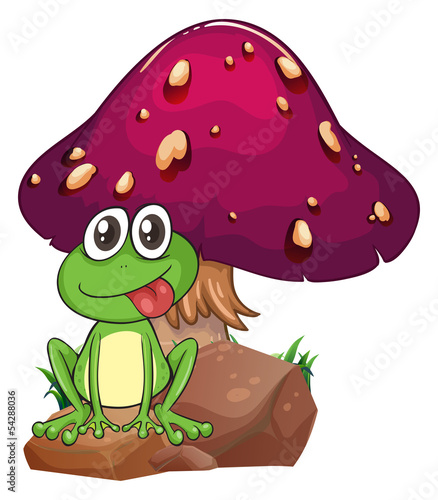 A frog above the rock with a mushroom at the back