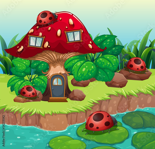 Bugs outside the mushroom house