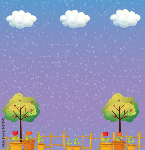 A stationery with apple trees and plants in pots
