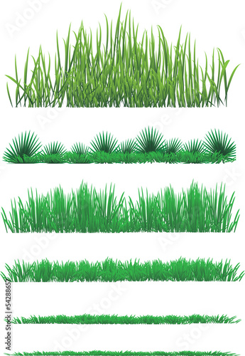 vector grass collection