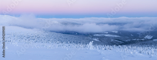 Wallpaper Mural Winter Wonderland Torontodigital.ca
