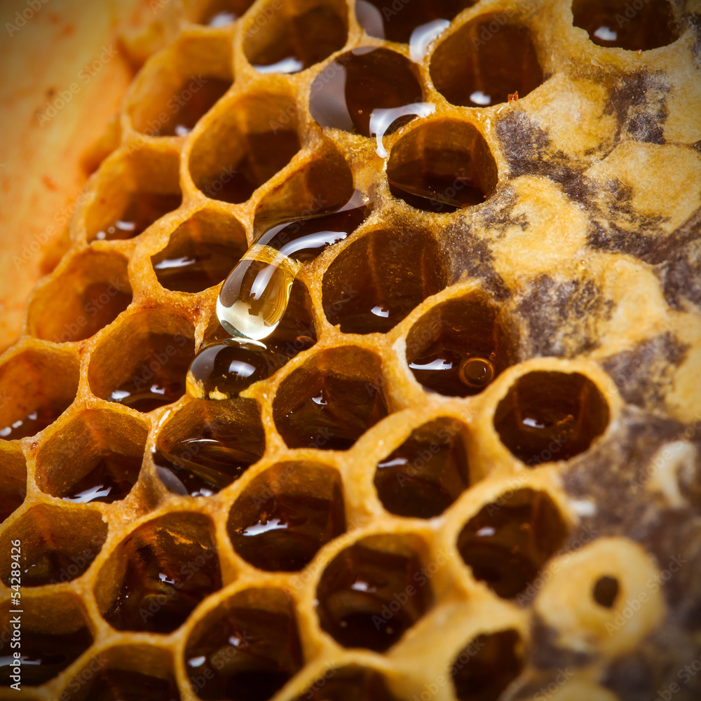 A drop of honey bee on honeycombs background close-up A drop of honey bee on honeycombs background close-up