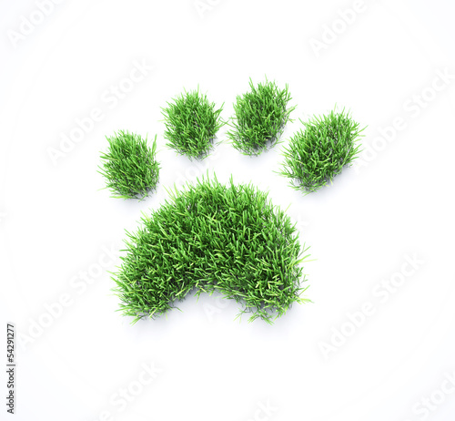 Fototapeta Naklejka Na Ścianę i Meble -  Grass pet paws