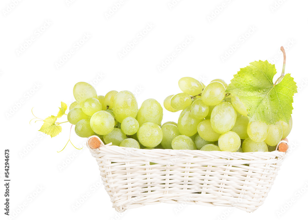 white grape isolated white grape isolated