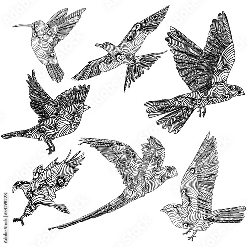 Collection of Birds