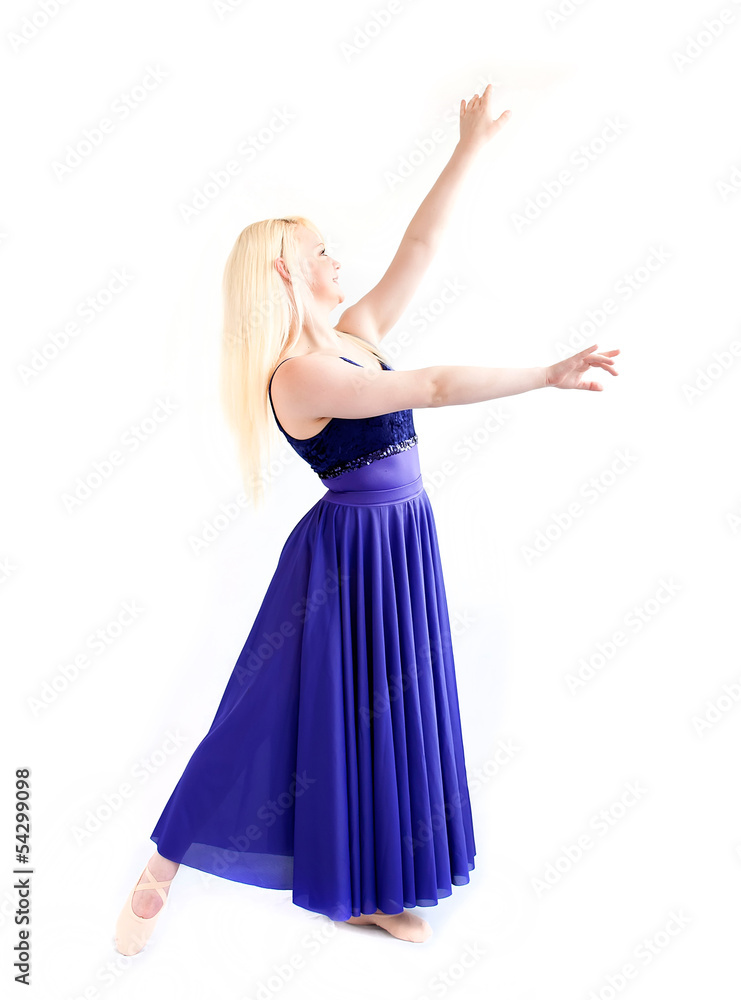 ballet dancer ballet dancer