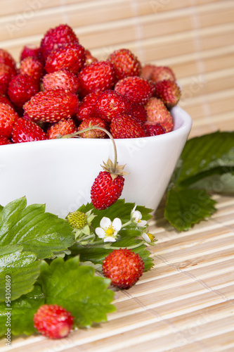 Wild strawberries in a small bowl  surrounded by leaves