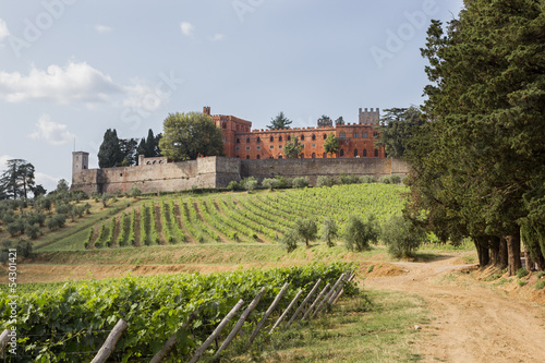 Brolio Castle and the nearby vineyards photo