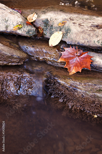 Small rocky creek