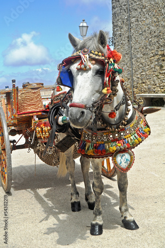 A beautiful traditional and colourful painted and decorated Sicilian pony and cart In Erice Western Sicily 