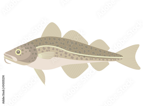 Cod